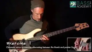 FREE Weekly Bass Lessons: Week 8 'Right Hand Muting Techniques'