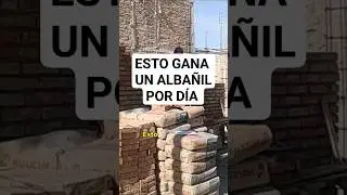 ✅👉 Esto GANA UN ALBA&Ntilde;IL por d&iacute;a⭐👷&zwj;♂️ #construccion #arquitectura #construction #shorts