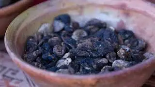 Episode 27:  Cascara Sagrada - A Gentle Laxative