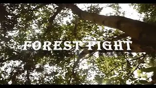 Short  film | Kenya short films| Forest Fight