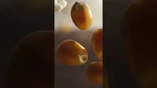 The great drought! Watch how the pigeon squadron makes it snow with popcorn  世紀の大干ばつ！鳩の突撃隊が「ポップコーンの雪