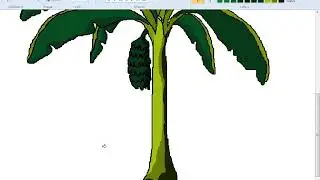 Drawing Banana Tree Nice and Easy
