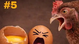 #5. Egg Peeling with Name Writing | Dinor | Calming & Satisfying