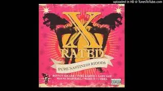 Dj Shakka - Pure Nastiness Riddim Mix - 2005