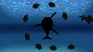 Wildscreen Festival Sting - Synchronised Sharks