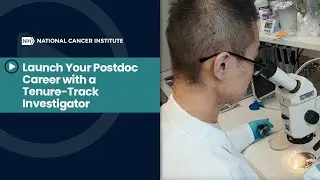 Launch Your Postdoc Career with a Tenure-Track Investigator at the NCI Center for Cancer Research