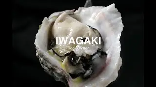 Iwagaki Oki islands #3