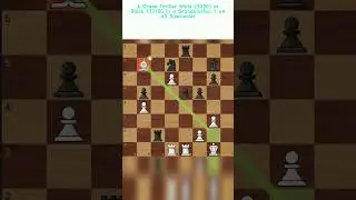 A Chess Thriller White 3039 vs Black 3318 in a Scandinavian 1 e4 d5 Spectacle!
