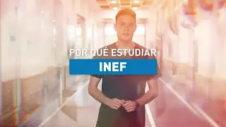 Por qué estudiar… INEF