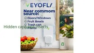 REVIEW (2026): VEYOFLY Indoor Fly Trap Set. Features