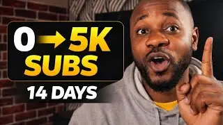From 0 to 5k subscribers in 14 days 