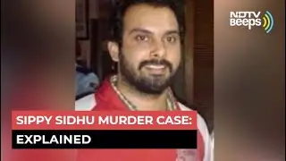 Judge's Daughter Arrested For Sippy Sidhu Murder: Case Explained
