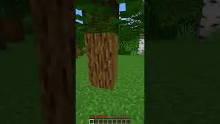 Секретная база в Minecraft 😂 Подождите... #minecraft #shorts #memes