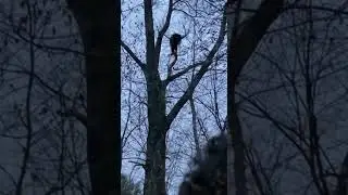 we saw the witch again #creepyclips #horrorclips