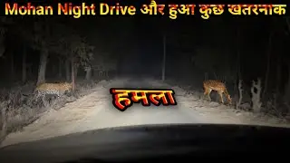 Jim Corbett National Park Night Drive | Mohan Night Drive | Encounters with Tiger and Leopard