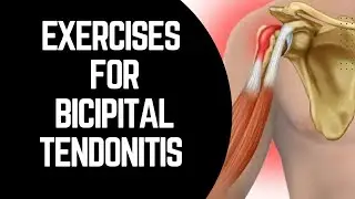 Exercises for bicep tendonitis|Biceps tendonitis exercises physical therapy@PhysiotherapyTreatments