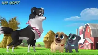 Puppy Dog Pals Counting Sheep Best Cartoon For Kids & Children - Kai Nort