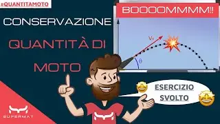 Conservazione della Quantità di Moto - Esercizio Svolto