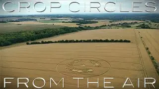 Pilgrim's Trail Crop Circle | 10 July 2022 | Winchester, Hampshire | Crop Circles From The Air