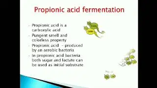 Propionic acid fermentation@mayankpandeybiochemistevan2678