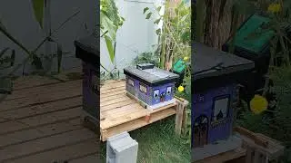 NEW TO BEEKEEPING 2024 WHAT I'VE LEARNED AND SETTING GOALS FOR YOUR FIRST YEAR! AND TIPS #beekeeping
