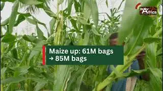 Kenya&rsquo;s Fertilizer Subsidy Program