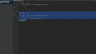 How to use WHILE loop in Python?
