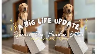 A Big Life Update! | Service Dog Edition | Moving with a Service Dog!