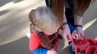 Caleb's First Time At The Petting Zoo