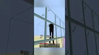 What blocks can endermen see through?