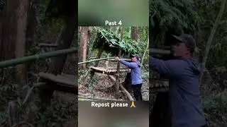 Built a Hidden Forest Cabin Alone 🌲🏕️ (Primitive Survival)