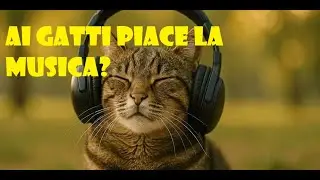 Ai gatti piace la musica?