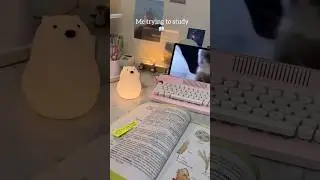 Mere sath hi kyu hota h hmesha😭#neet #neet2024#distraction#motivation#short#viralvideos #shortvideos