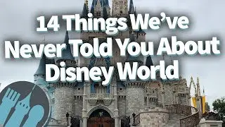 14 Things We've Never Told You About Disney World...But You Should Know!