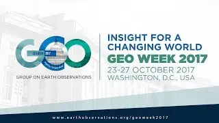 The role of Citizen Observatories and Crowdsourcing Community in GEOSS