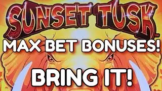 Sunset Tusk Max Bet Bonuses / BRING IT!