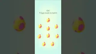 Hatching 9 7km Eggs