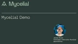 Mycelial Computer Vision Demo
