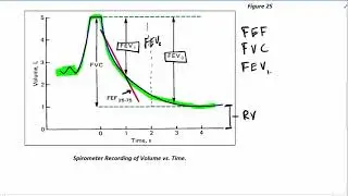 MicroVid 10 - Respiration - Forced Expiratory Flow