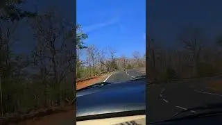 #Trip #wanderlust #nature #jungle #sky Country Road