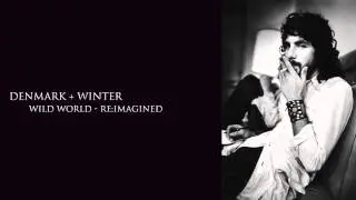 Cat Stevens - Wild World (Denmark + Winter Re:Imagined)