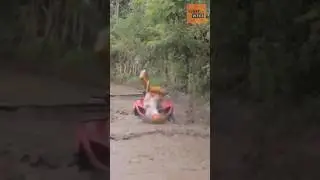 funny comedy video Hans ke lotpot ho 😂😂 #viralvideo #comedy #shorts #short #ytshorts #viral