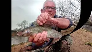 Fishing The River Swale 10 For Chub/Grayling  Feb 2022