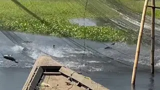 Best Fishing Video 2022 \ Desi style Fishing Video Catfish Fishing