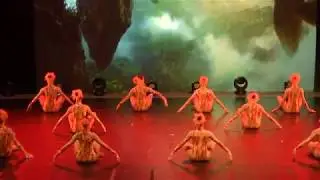 Fenici   asd arte e danza Coccaglio   danza classica   saggio 2017