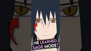 Why Sasuke Can Never Learn Sage Mode in the series!