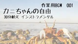 カニちゃんの自由｜作業用BGM（30分・インストゥルメンタル）