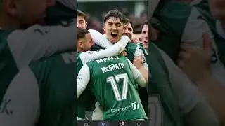 up the hibees
