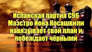 Испанская партия C96   Маэстро Йона Косашвили навязывает свой план и побеждает чёрными