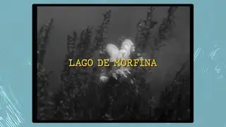 Dragon Boy$ - Lago de Morfina